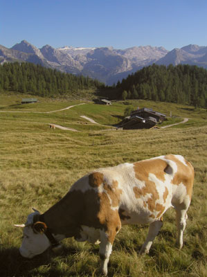 gotzenalm